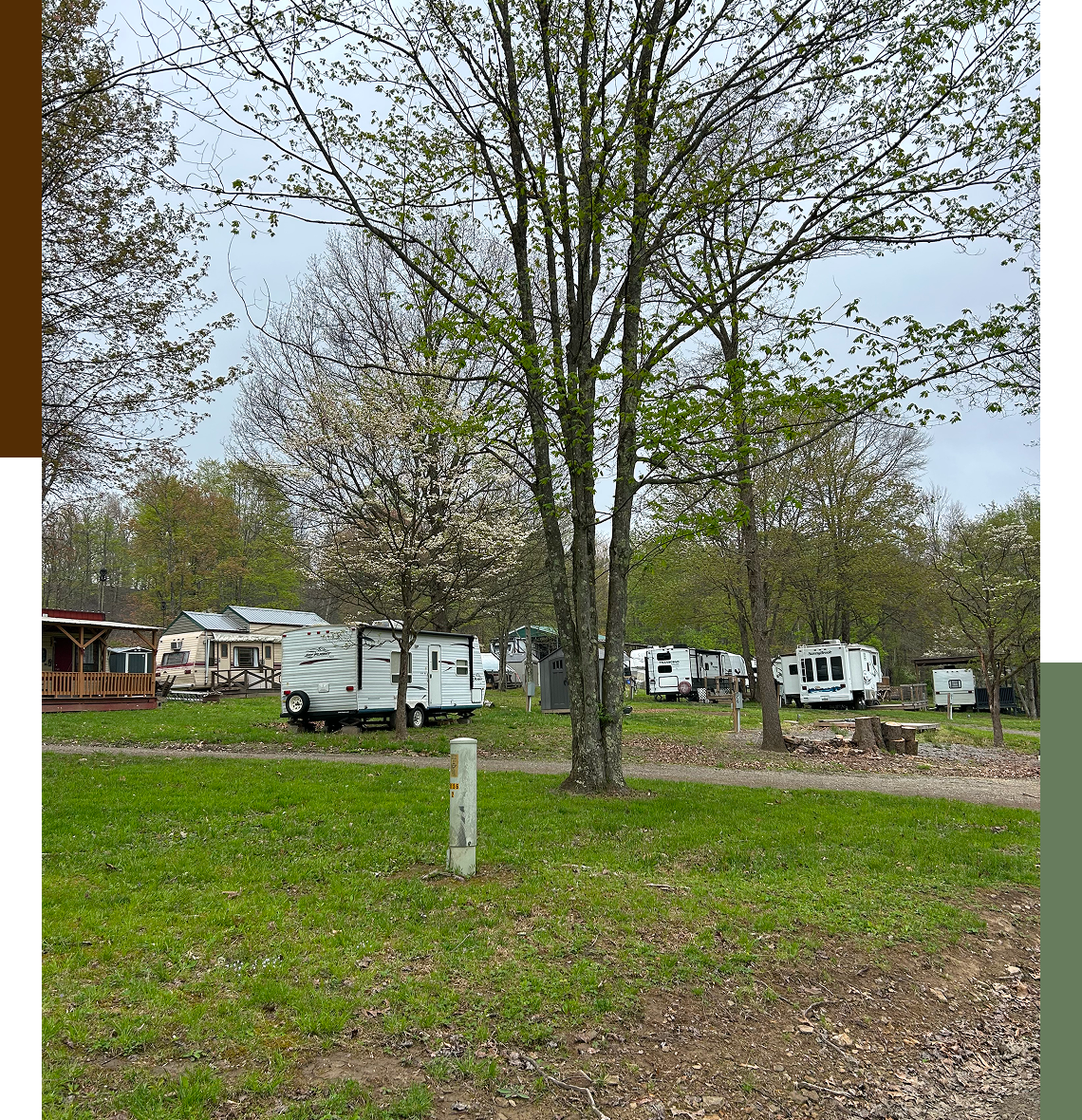 RV park with trees and grassy area.