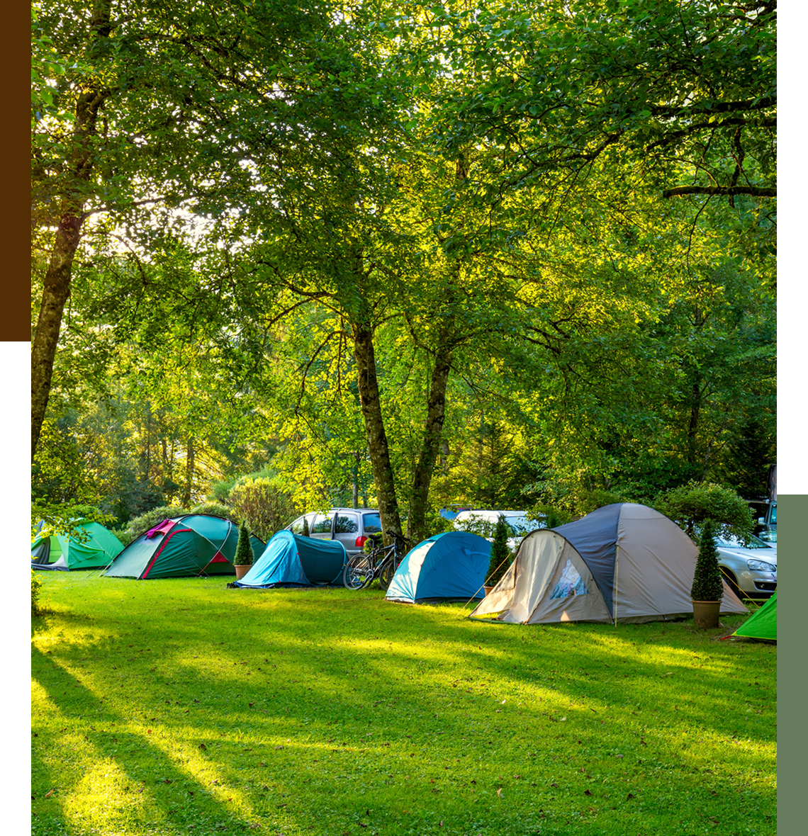 Tents set up in a sunny forest.