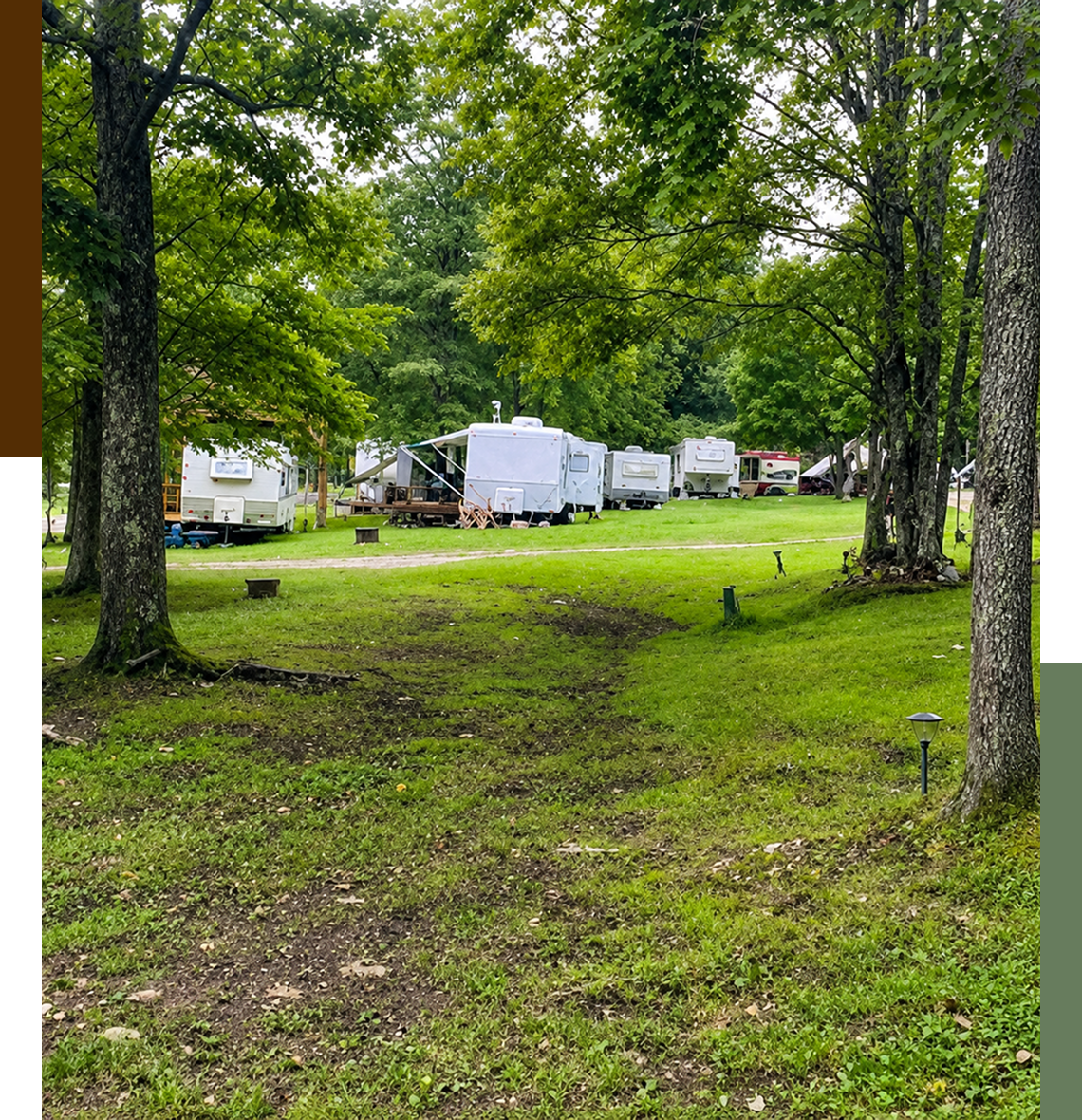 RV park with campers among green trees.